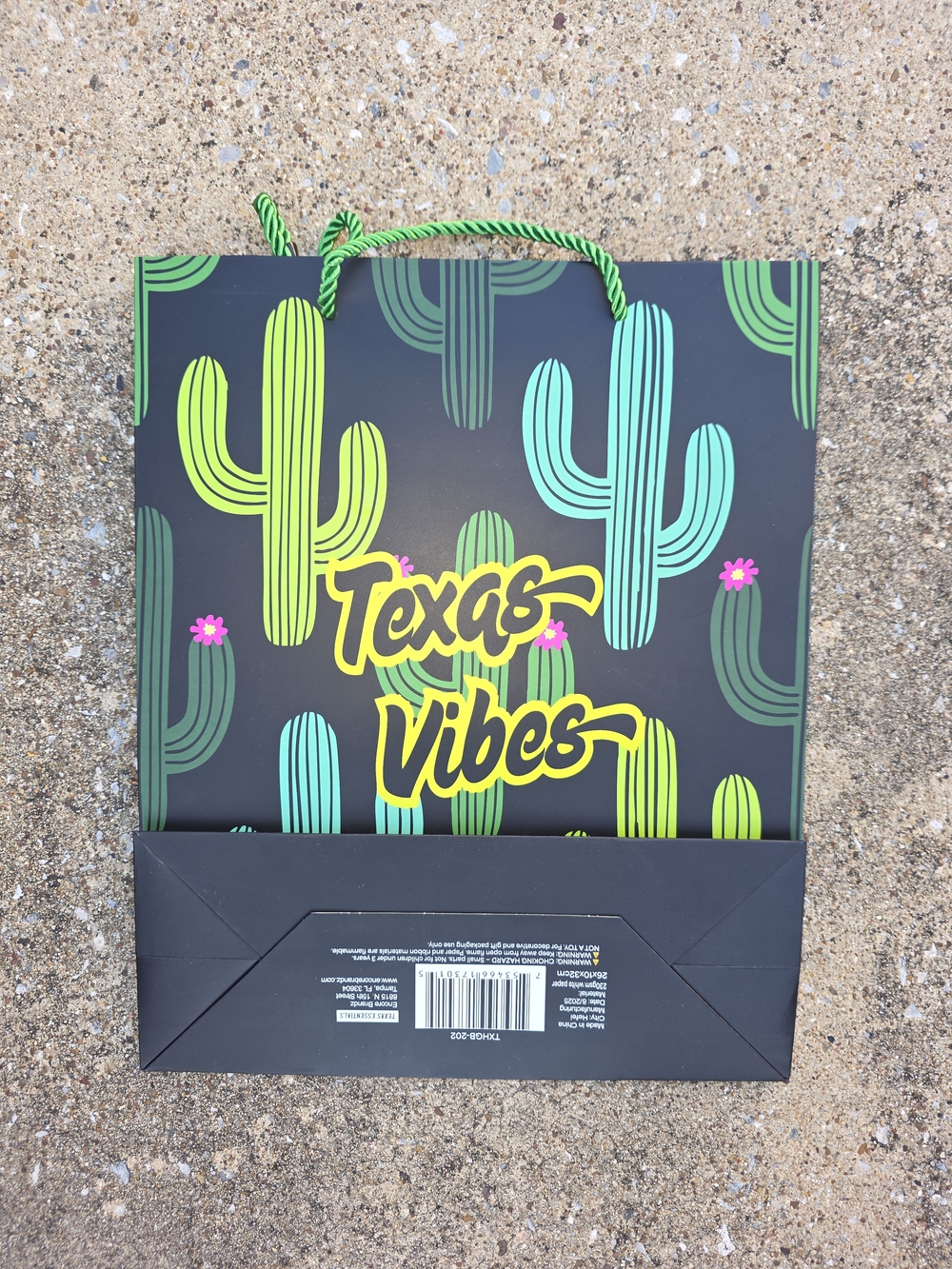 Texas Vibes Cactus Gift Bag in Green